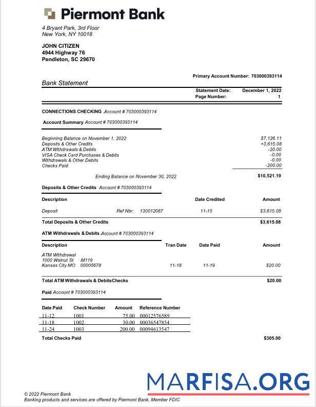 Downloadable USA New York Piermont bank statement word sample